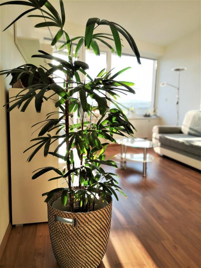 New Apartment With Garage Parking เบอร์โน ภายนอก รูปภาพ